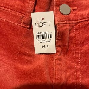 LOFT brand velour pants